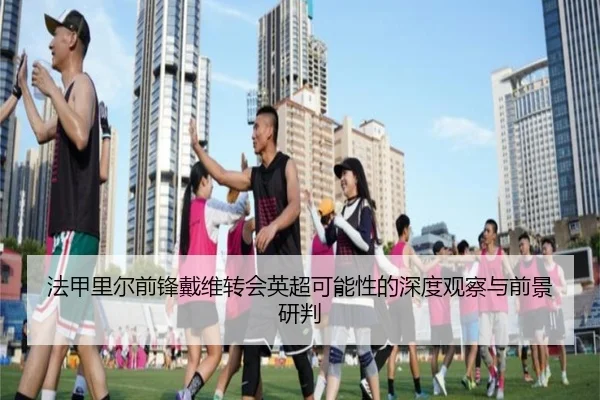 法甲里尔前锋戴维转会英超可能性的深度观察与前景研判
