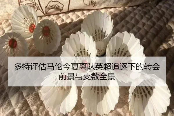 多特评估马伦今夏离队英超追逐下的转会前景与变数全景