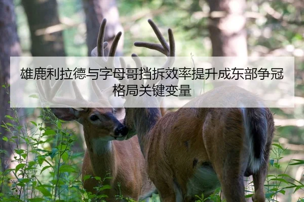 雄鹿利拉德与字母哥挡拆效率提升成东部争冠格局关键变量